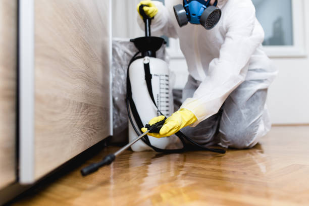Best Residential Pest Control  in Albany, MN