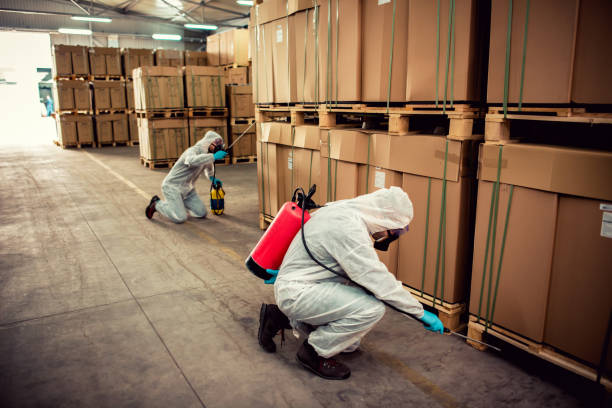 Best Emergency Pest Control  in Albany, MN