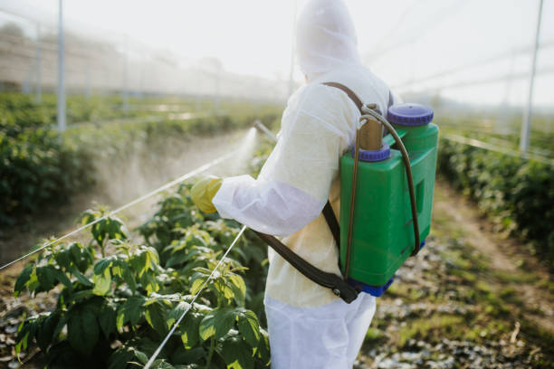Pest Prevention Services in Albany, MN